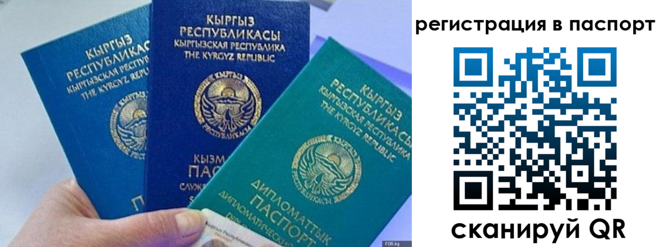 прописка 2025 в Вязниках